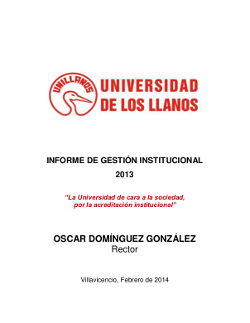 Informe de Gestión 2013