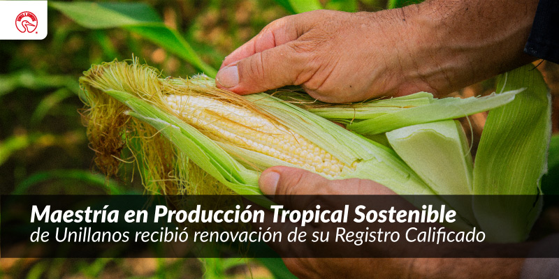 Maestría en Producción Tropical Sostenible de Unillanos recibió renovación de su Registro Calificado
